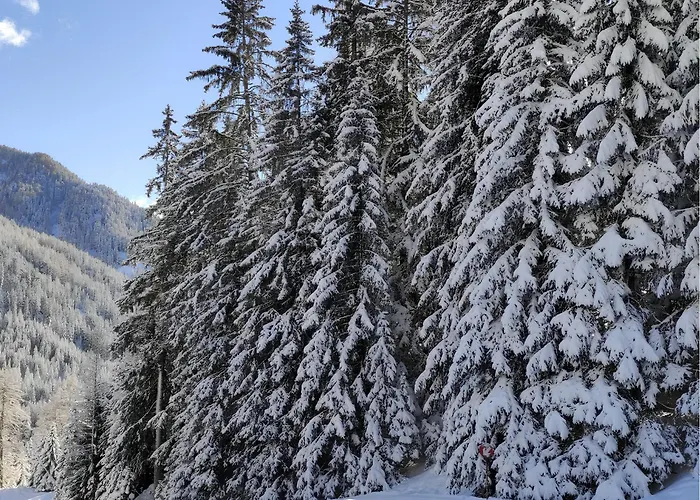 Villa Kofler Wonderland Resort Campitello di Fassa